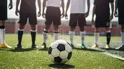 《智勇双全！B费展现超凡智商，谢什科绝杀铸就经典瞬间》